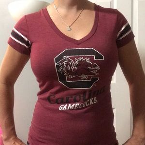Carolina gamecocks